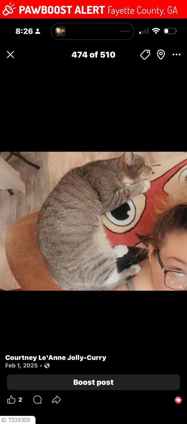 Lost Female Cat last seen Rivers rd, Fayette County, GA 30214