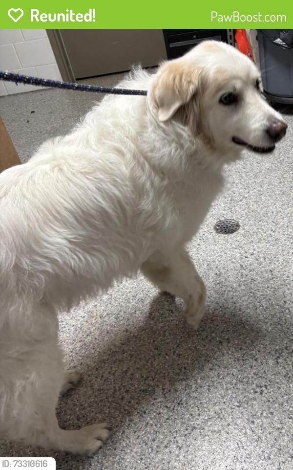 Reunited Unknown Dog last seen Port St. Lucie, Port St. Lucie, FL 34986