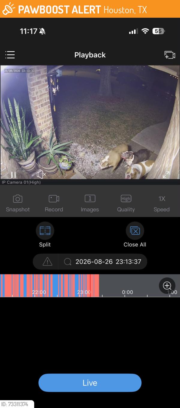 Found/Stray Unknown Dog last seen Winkleman & Ensenada, Houston, TX 77083