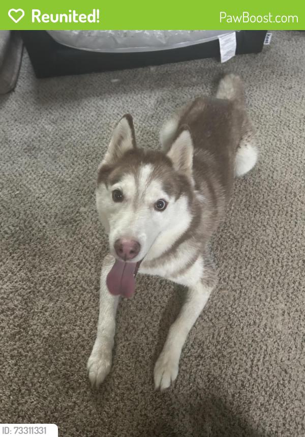 Reunited Male Dog last seen Longrifle Rd, Fairway Lakes, Westerville, OH 43081