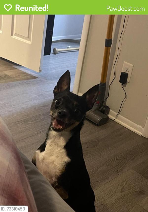 Reunited Female Dog last seen Dew drop cv and laurel way casselberry, Casselberry, FL 32707