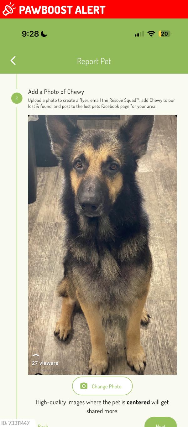 Lost Male Dog last seen Unknown, Greater Carrollwood, FL 33618