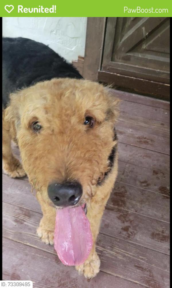 Reunited Male Dog last seen Near Chestnut Hill Rd, Black Mountain, NC 28711, USA, Black Mountain, NC 28711