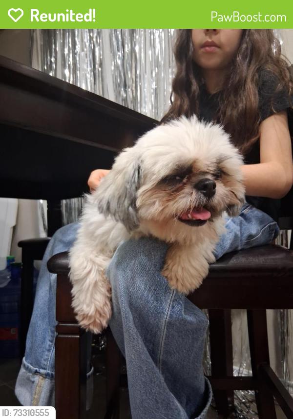 Reunited Female Dog last seen On lark between shary & Taylor, Mission, TX 78573