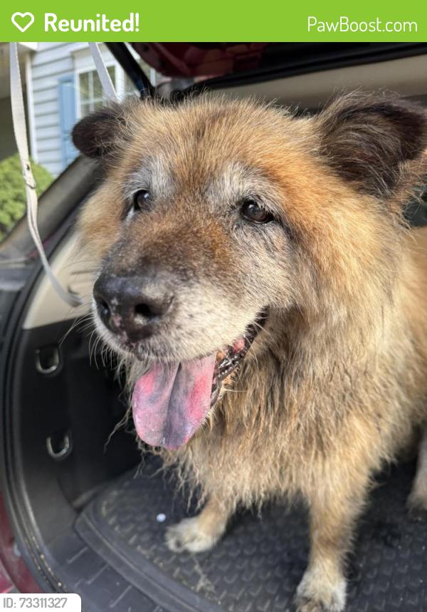 Reunited Unknown Dog last seen Millstone and Beckett’s Ridge, Hillsborough, NC, Hillsborough, NC 27278