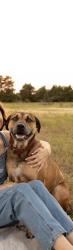 Lost Male Dog last seen Jacktown, Lincoln County, OK 74851