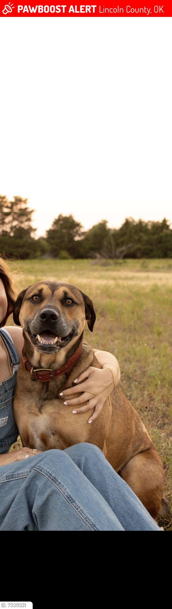 Lost Male Dog last seen Jacktown, Lincoln County, OK 74851