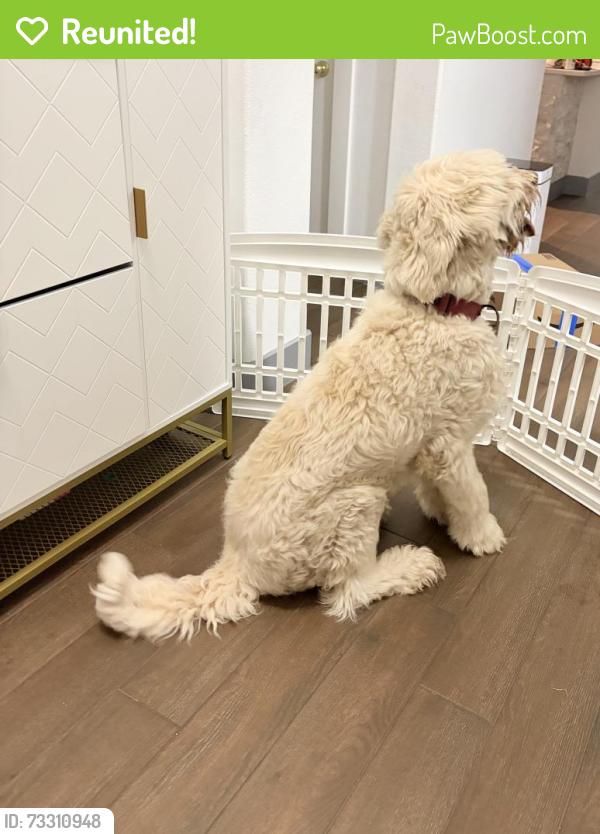 Reunited Male Dog last seen Came to my hse, Austin, TX 78747