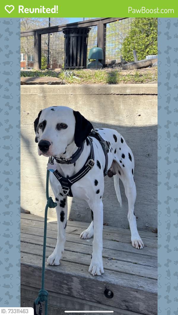 Reunited Male Dog last seen Near waterside drive north Little Rock Arkansas, North Little Rock, AR 72116