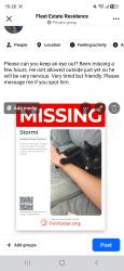Reunited Male Cat last seen Teesdale road, Kent, England 