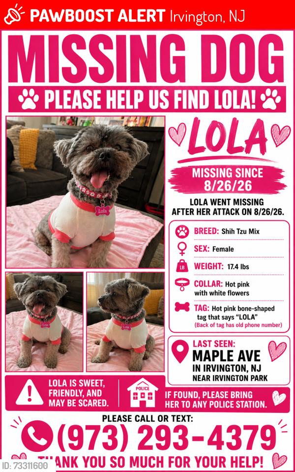 Lost Female Dog last seen Maple Ave & May St., Irvington, NJ 07111