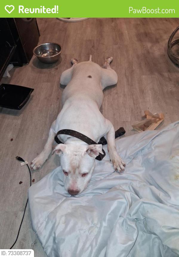 Reunited Male Dog last seen Thousand oaks dr, San Antonio, TX 78233