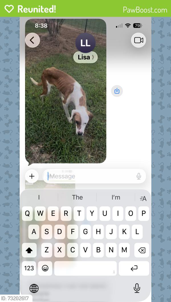 Reunited Female Dog last seen 169th W Ave & 171st St, Sapulpa, OK 74066