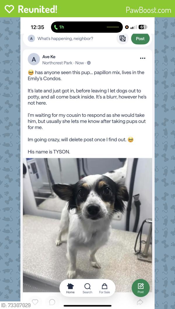 Reunited Male Dog last seen Coit and Emily, Dallas, TX 75240