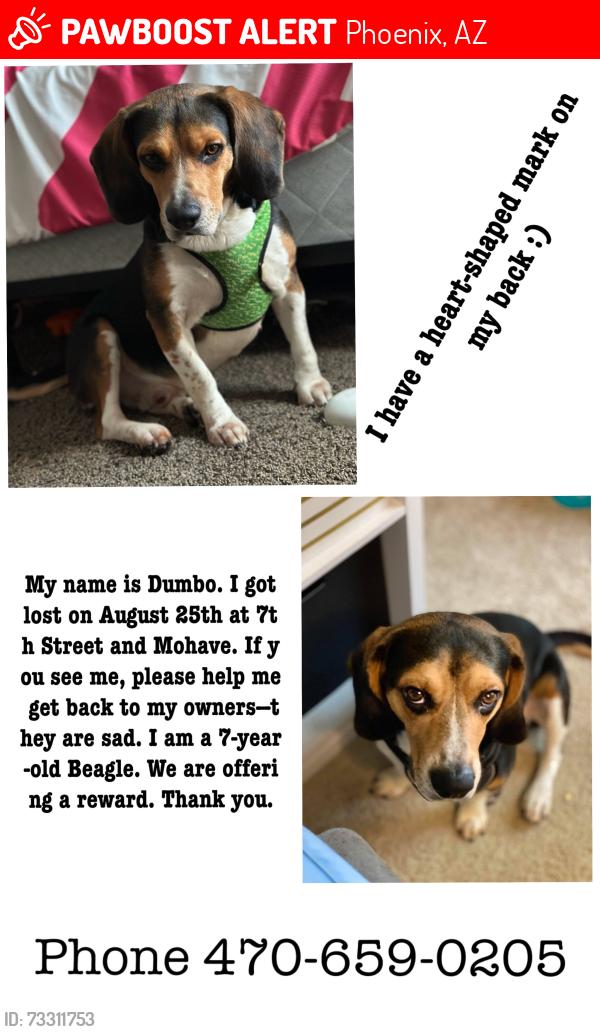 Lost Male Dog last seen Near st mohave central, Phoenix, AZ 85004