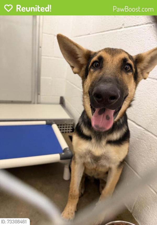 Reunited Male Dog last seen Near NW 39th Expressway, Oklahoma City, OK 73122