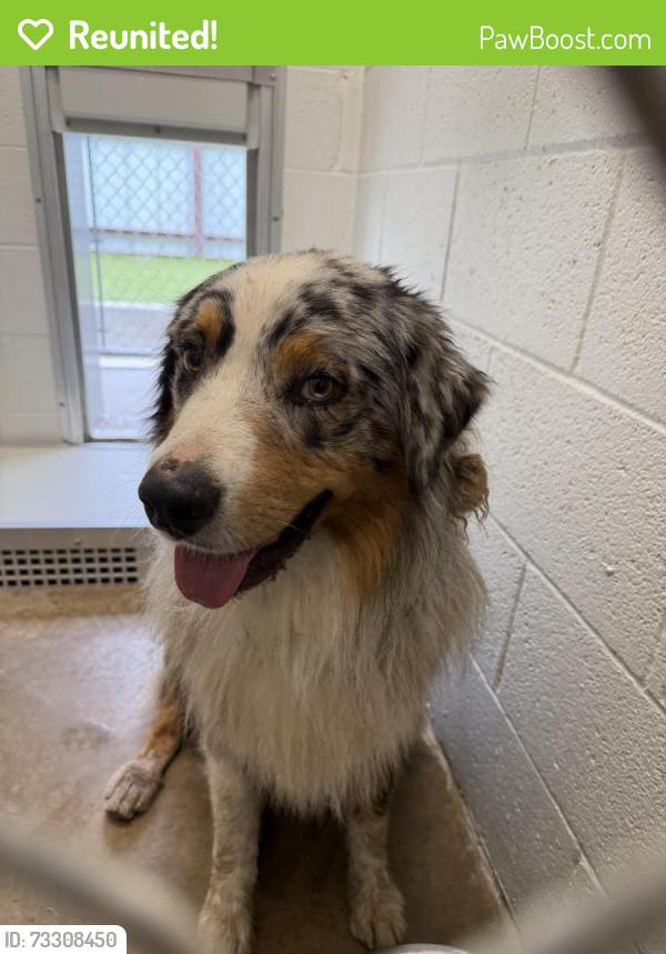 Reunited Male Dog last seen Near NW 39th Expressway, Oklahoma City, OK 73122