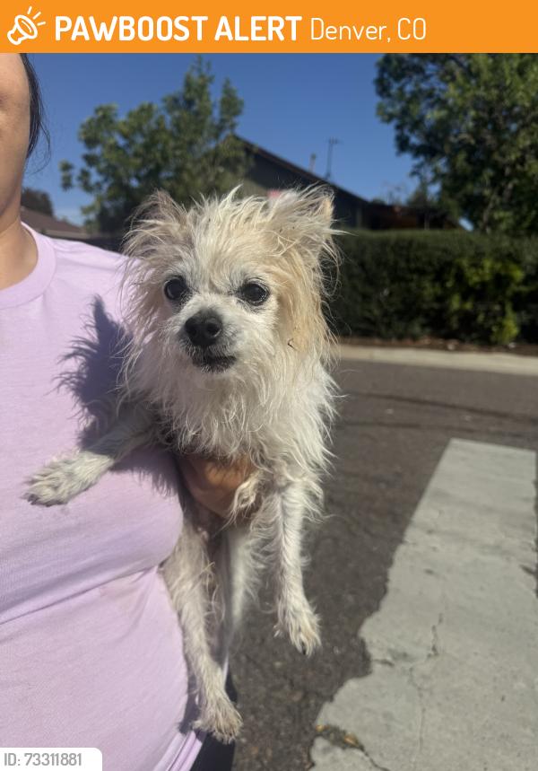 Found/Stray Male Dog last seen Stuart and Alameda, Denver, CO 80219