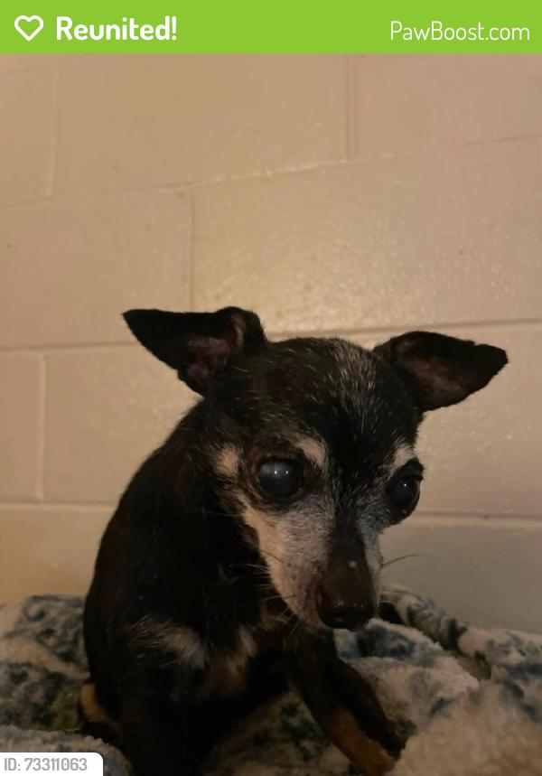 Reunited Male Dog last seen Near E Peach St, Tucson, AZ 85712, USA, Tucson, AZ 85712