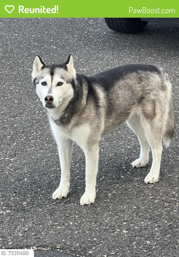 Reunited Unknown Dog last seen Near Aintree Drive, Pasco, WA 99301