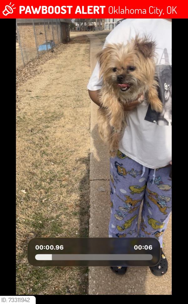 Lost Male Dog last seen Near stonycreek drive, Oklahoma City, OK 73132