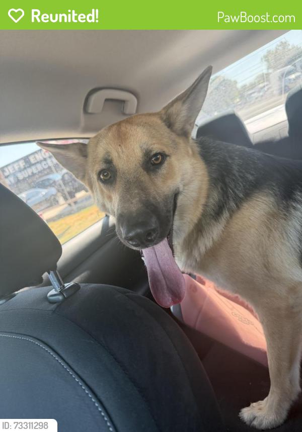 Reunited Male Dog last seen Grumps Burgers, Cleburne, TX 76031