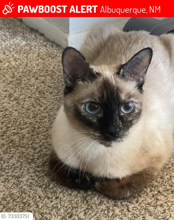 Lost Female Cat last seen Granite & Chelwood Park Blvd NE, Albuquerque, NM 87112