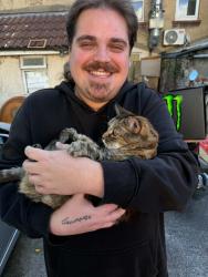 Reunited Female Cat last seen Gloucester road north, South Gloucestershire, England BS7 0SG