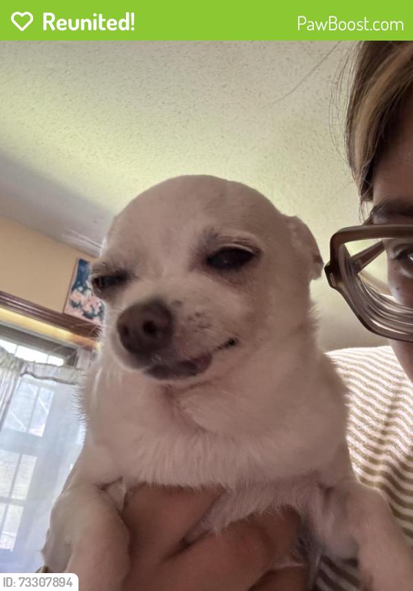 Reunited Female Dog last seen Cottonwood, Memphis, TN 38118