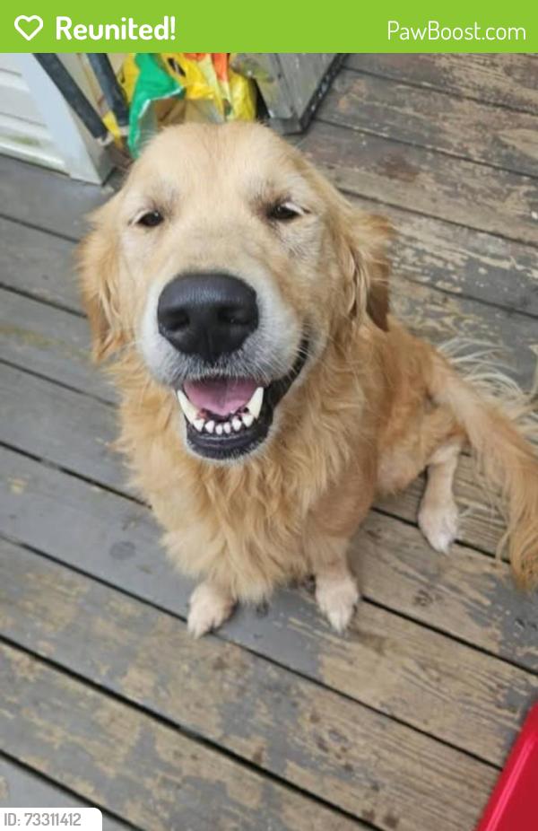 Reunited Male Dog last seen Gaine Lynn dr, Clarksville, TN 37040