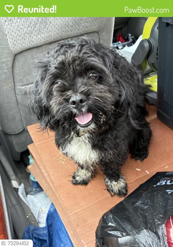 Reunited Male Dog last seen Freeland & Grove Avenue, Detroit, Detroit, MI 48235