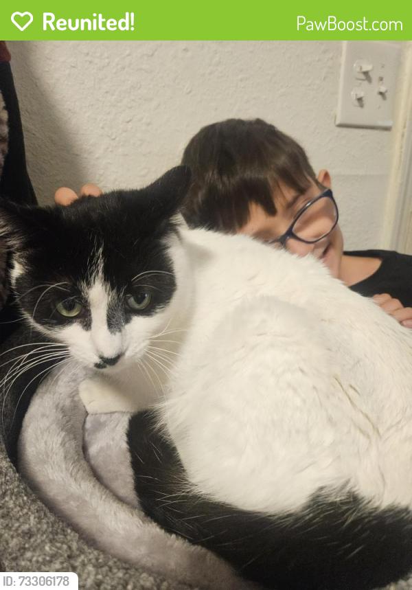 Reunited Male Cat last seen Gibson and San Mateo, Albuquerque, NM 87108