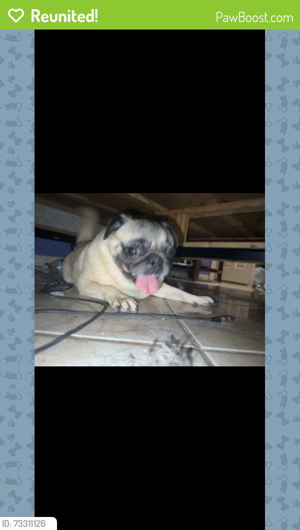 Reunited Unknown Dog last seen La Kota dr Katy tx, Harris County, TX 77449