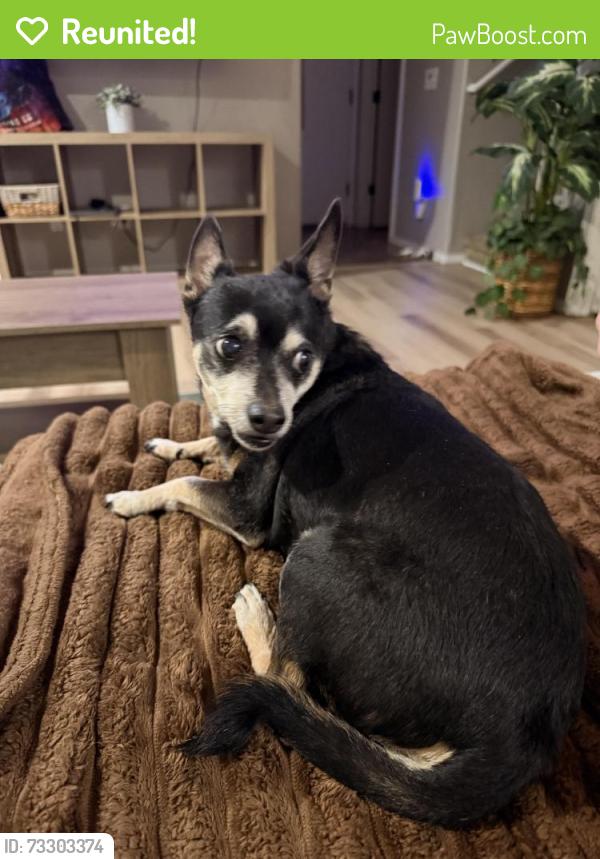 Reunited Male Dog last seen La Villita and castillo, Sahuarita, AZ 85629