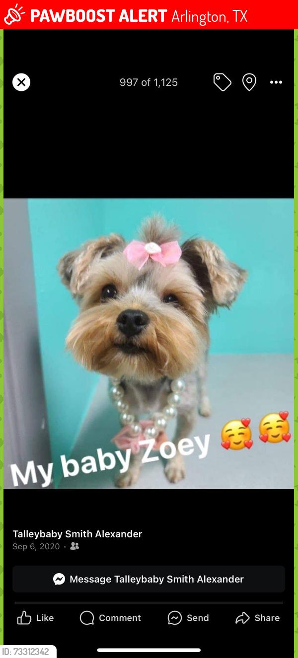 Lost Female Dog last seen JB little elementary school, Arlington, TX 76016