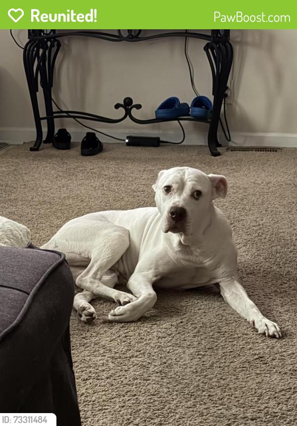 Reunited Female Dog last seen Salem Church Rd, Fredericksburg, VA 22407