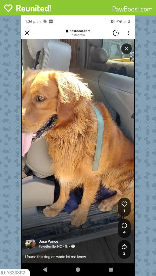 Reunited Male Dog last seen Near Main St, Wade, NC 28395, Wade, NC 28395