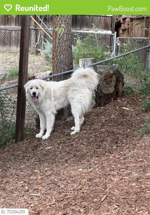 Reunited Unknown Dog last seen Off of Florida and Shoshone Street, Denver, CO 80223