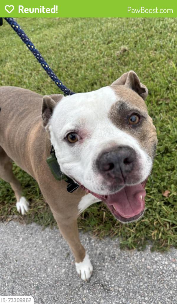 Reunited Unknown Dog last seen Port St. Lucie, Port St. Lucie, FL 34986