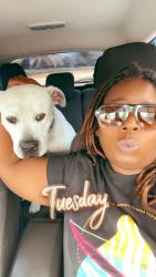 Lost Male Dog last seen Holly st, Zellwood, FL 32798