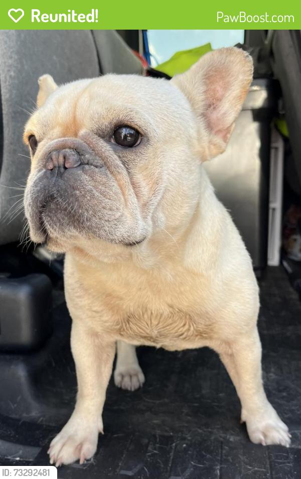 Reunited Female Dog last seen port st. lucie, Port St. Lucie, FL 34986