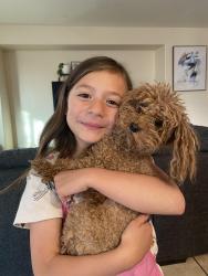 Reunited Male Dog last seen Rhodes ranch, Las Vegas, NV 89148