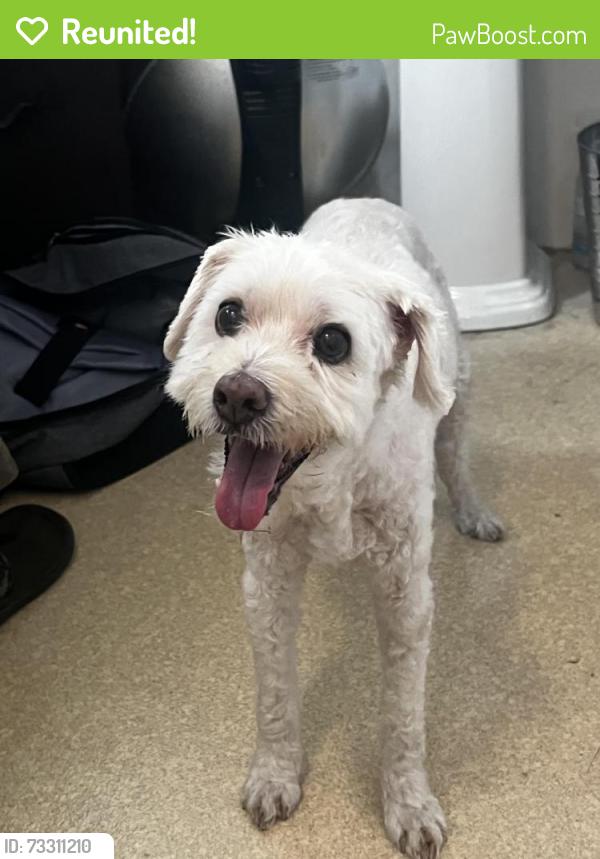 Reunited Male Dog last seen Mound Ave. & Mission St., South Pasadena, CA 91030