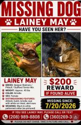Lost Female Dog last seen Middleton road and flamingo, Canyon County, ID 83651