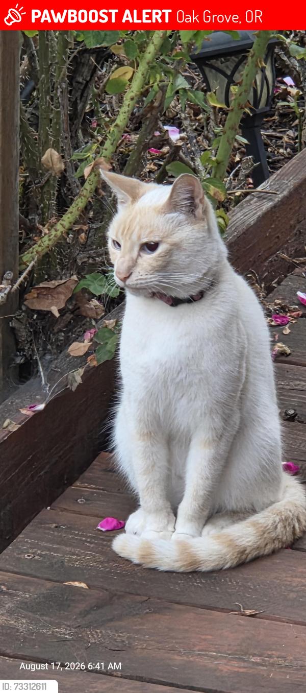 Lost Female Cat last seen SE Hill Rd/ Trilva Jean Court, Oak Grove, OR 97267