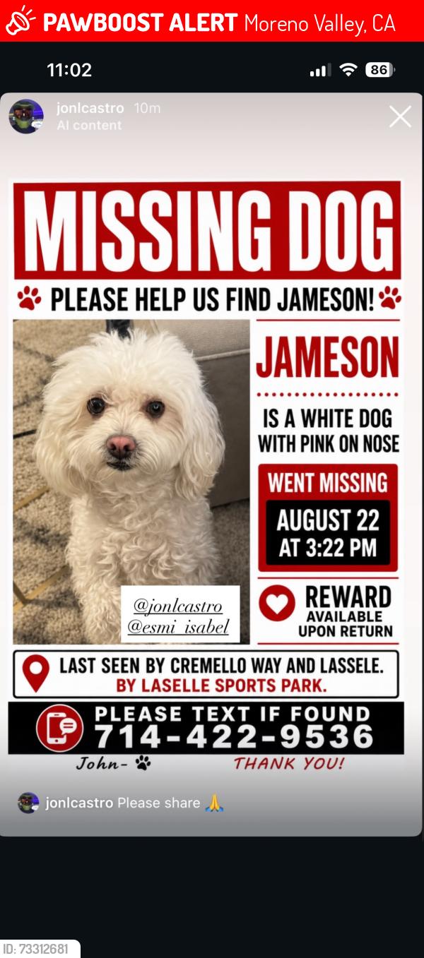 Lost Male Dog last seen Cremello way, Moreno Valley, CA 92551