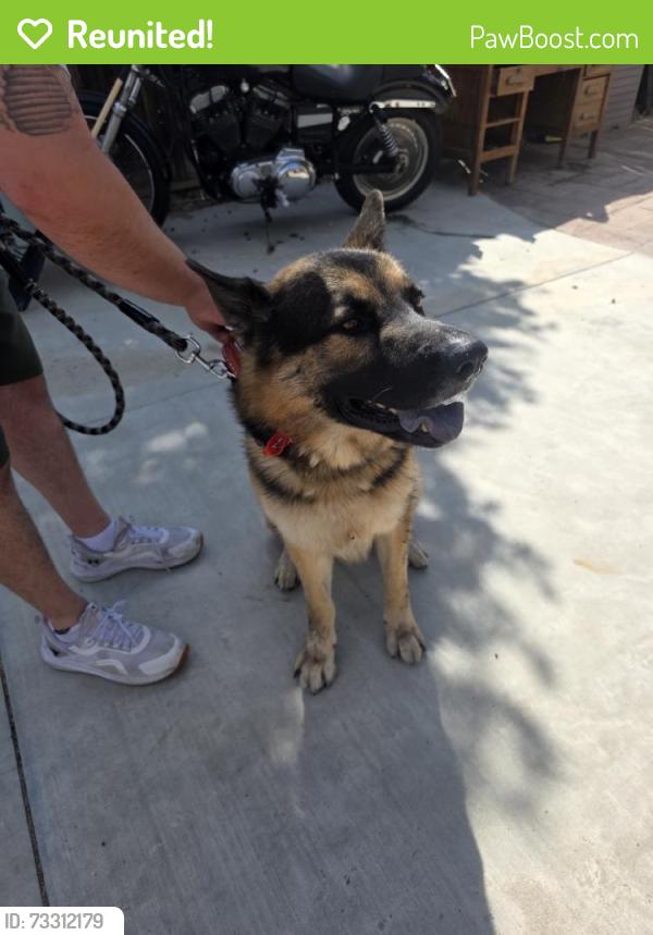 Reunited Male Dog last seen Near S San Jacinto Ave, San Jacinto, CA 92583, USA, San Jacinto, CA 92583