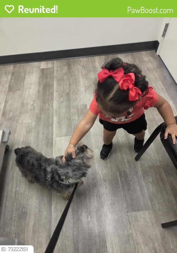 Reunited Female Dog last seen Whitfield Sarasota, Sarasota, FL 34243