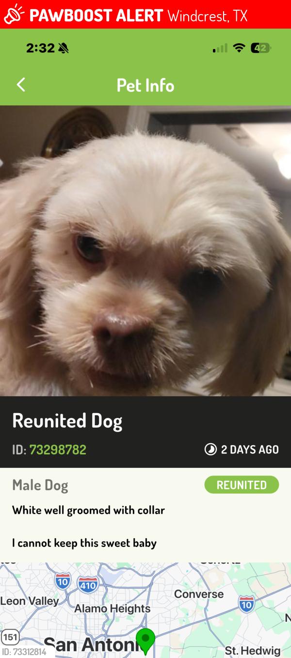 Lost Male Dog last seen Crest way apmts, Windcrest, TX 78239
