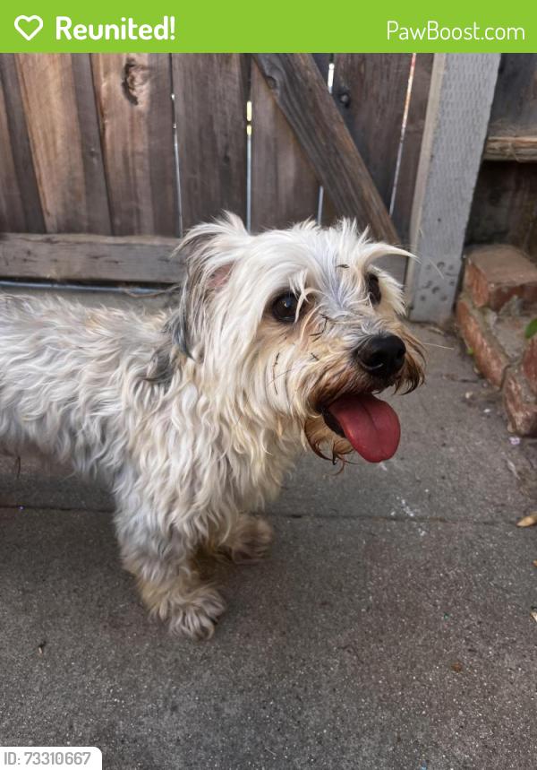 Reunited Unknown Dog last seen Found dog on Ventura Rd near Naval Base in Port Hueneme, Port Hueneme, CA 93041